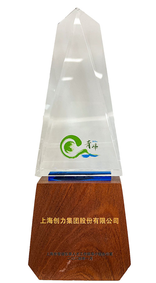喜報！上海創(chuàng)力集團榮獲2023年度青浦區(qū)百強優(yōu)秀企業(yè)等三項大獎(圖3)