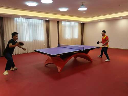 乒乓球.jpg 秋韻飛揚(yáng) 活力綻放 | 上海創(chuàng)力集團(tuán)秋季運(yùn)動會取得圓滿成功(圖4)